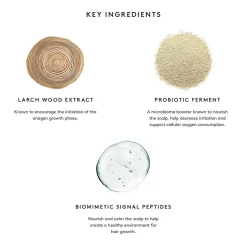 Virtue Flourish Phyto-Follicle Nutrient für 3 Monate Kit