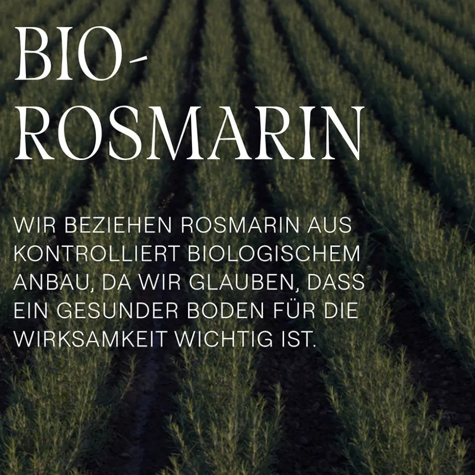 Weleda Belebendes Haar-Tonikum 100 ml