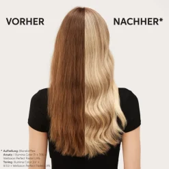 Wella BlondorPlex Blondierpulver 400 g