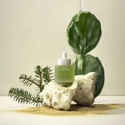 Whamisa Cactus Inner Skin Moisture Bouncy Serum 52 ml