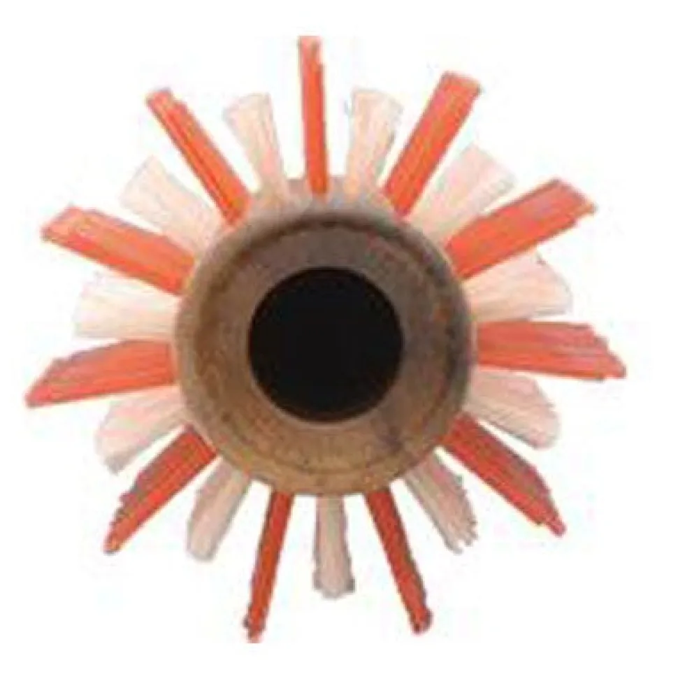 Y.S. Park Holzbürste 55 G2 (Ø 56 mm)